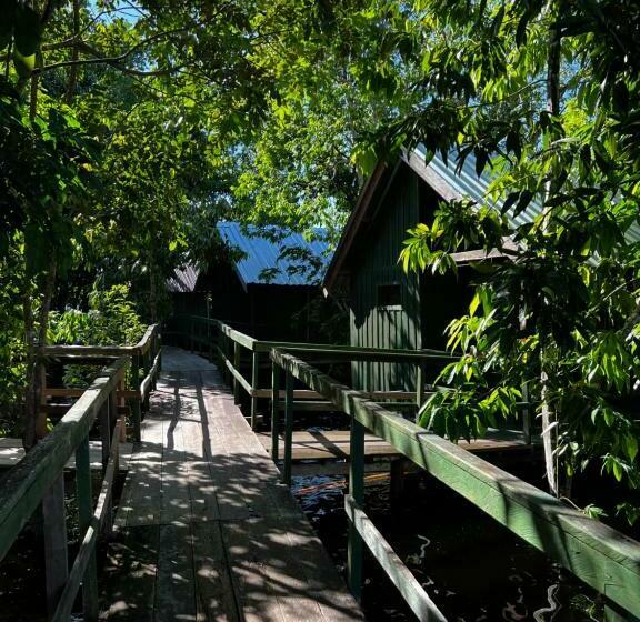 ペンション Amazônia Exxperience