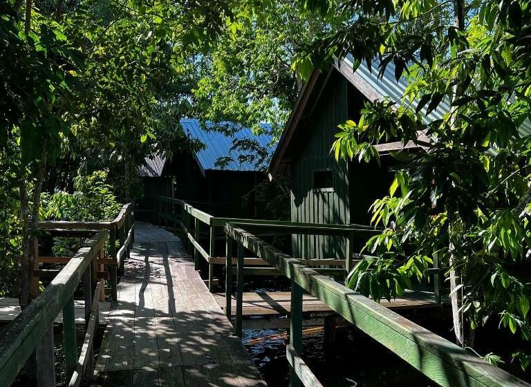 ペンション Amazônia Exxperience