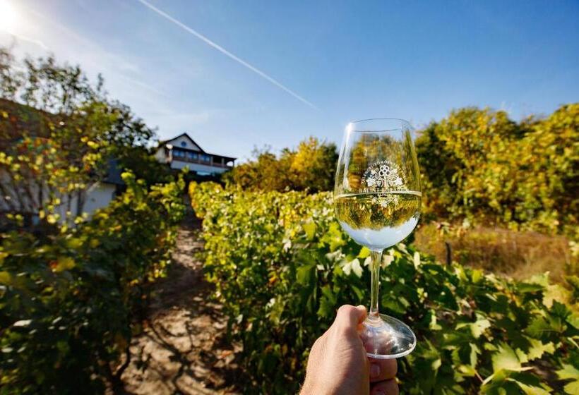 膳宿费 Borárium Vendégházak Néró Ház