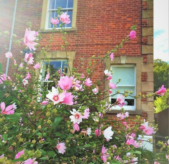 ペンション Bridport Garden Suite
