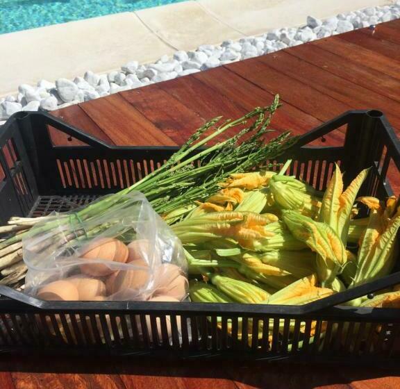 膳宿费 Camera Con Giardino E Piscina