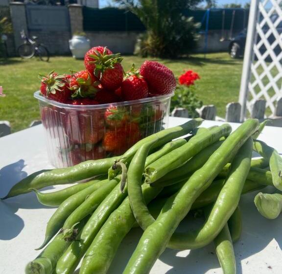 膳宿费 Camera Con Giardino E Piscina