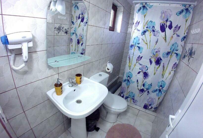 Пансион Casa Adi Si Maria