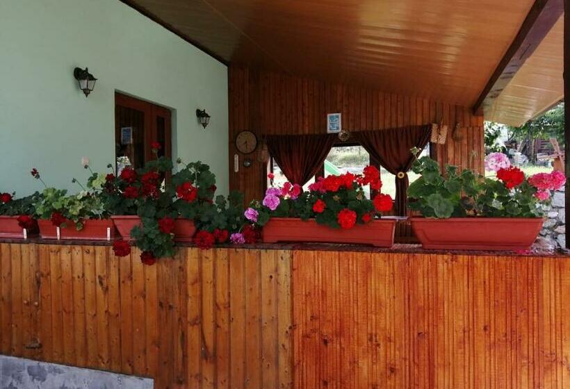 Пансион Casa Adi Si Maria