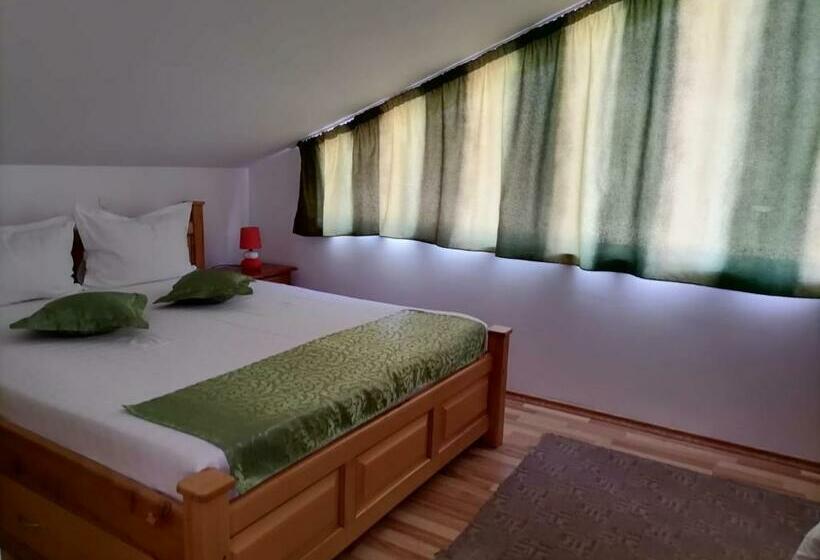 Пансион Casa Adi Si Maria