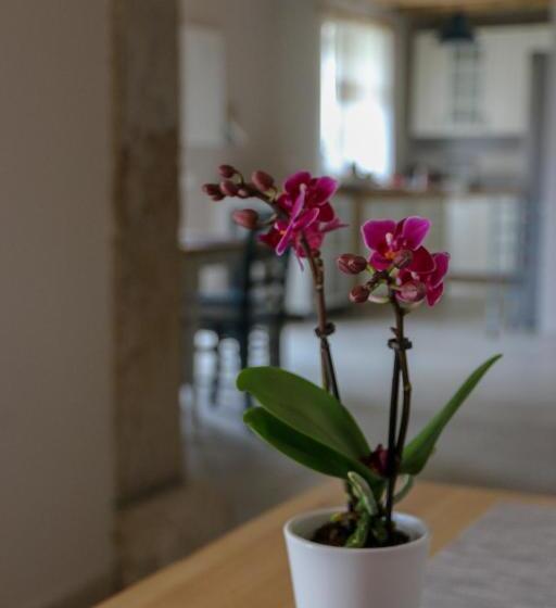 פנסיון Casa Lenka