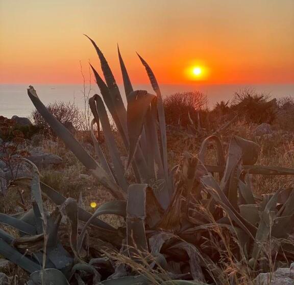 بنسيون Casa Regina