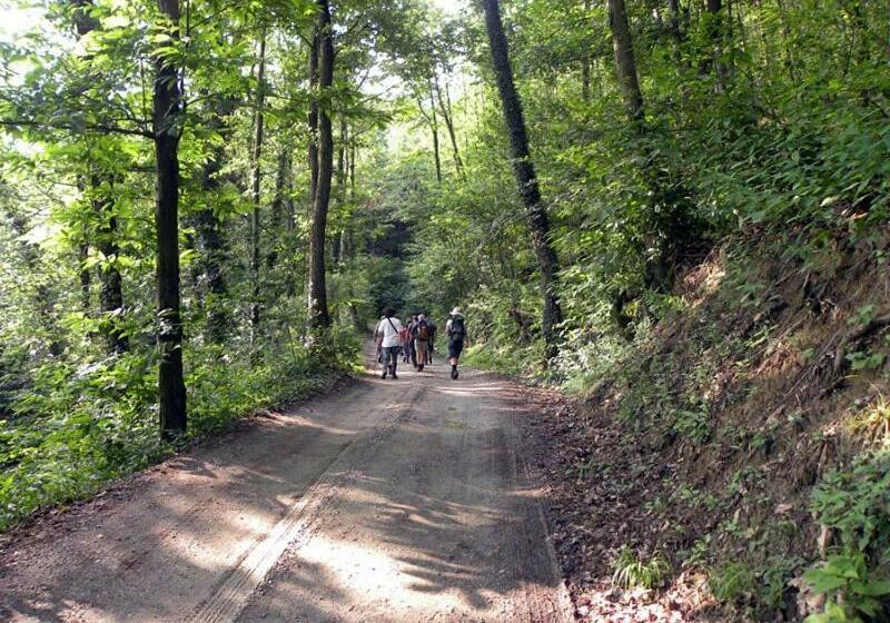 ペンション Emeroteca Del  900