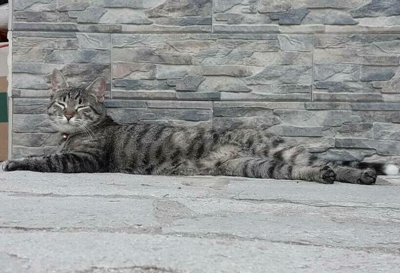 بنسيون Il Giardino Del Nespolo