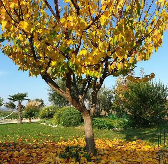 بنسيون La Dolce Vita