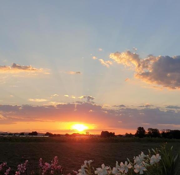 بنسيون La Dolce Vita