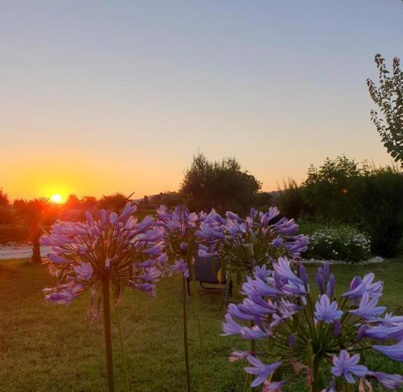 بنسيون La Dolce Vita