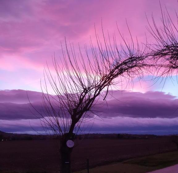 بنسيون La Dolce Vita