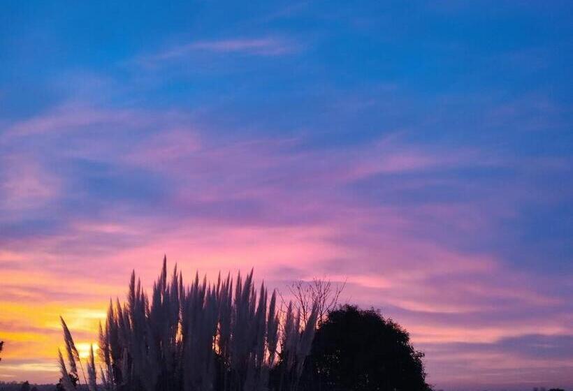 بنسيون La Dolce Vita