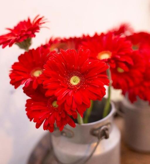 ペンション La Pitta