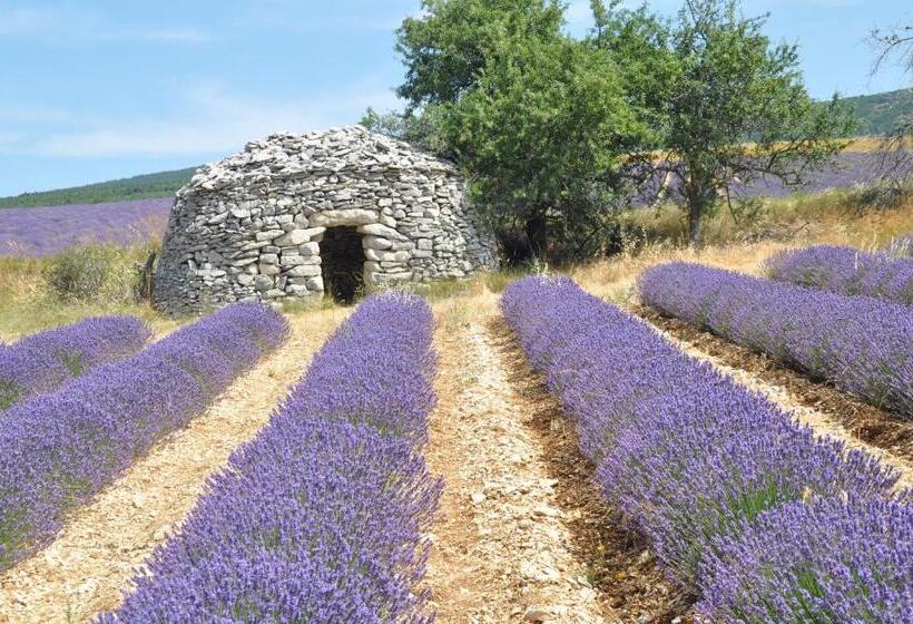 פנסיון La Vigne Appartement