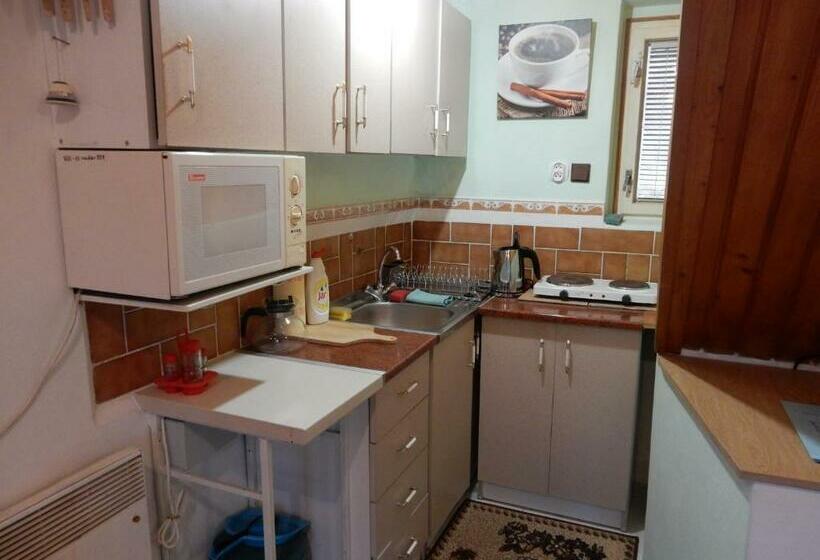 ペンション Penzión Bajo