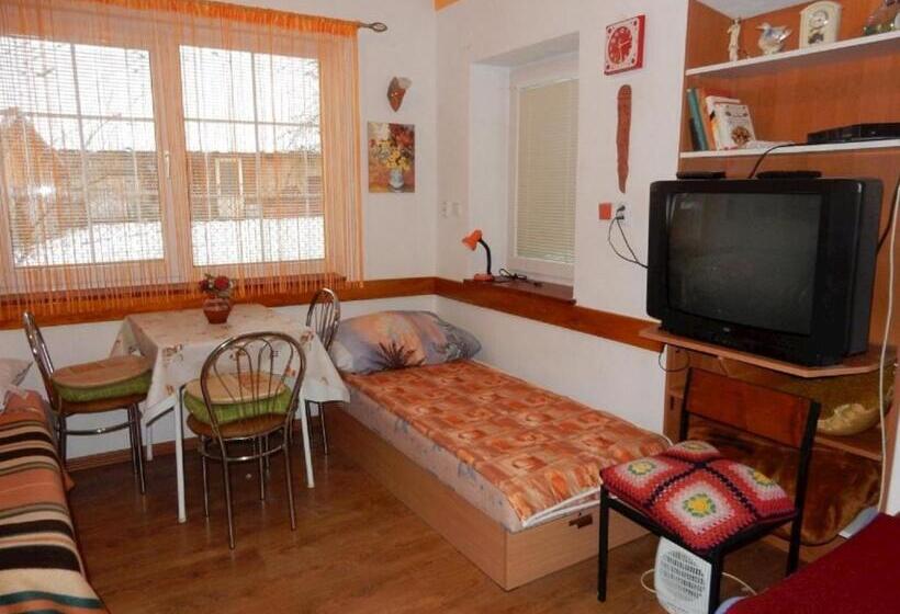 ペンション Penzión Bajo