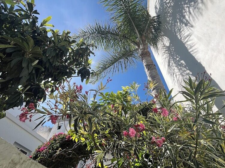 پانسیون Riad Oasis D Asilah