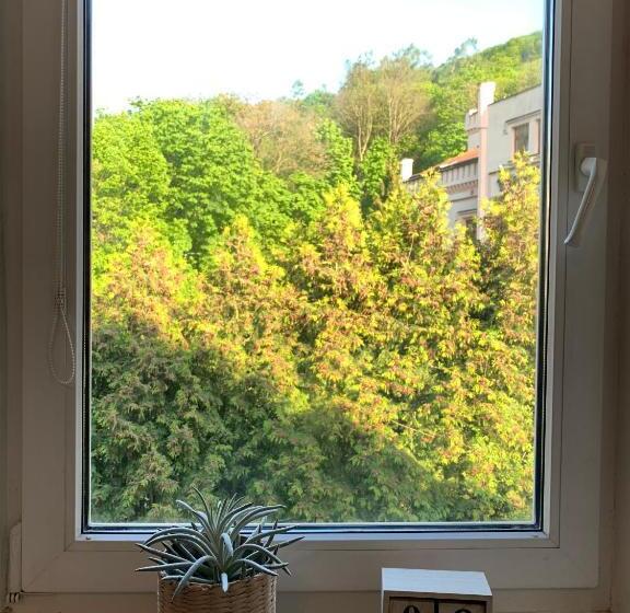 بنسيون Treehouse Apartments