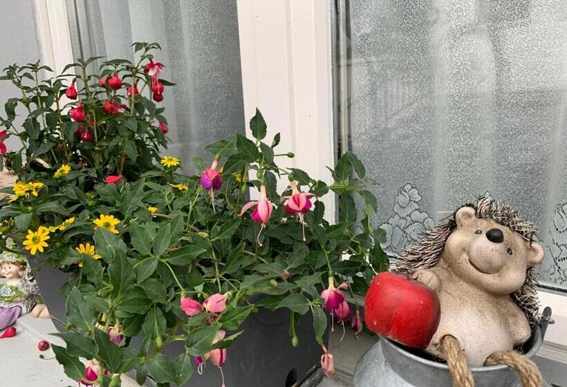 Pension Chalet Charme