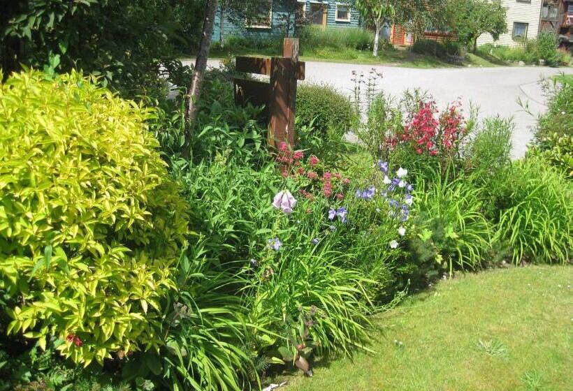 Sunflower Bed & Breakfast