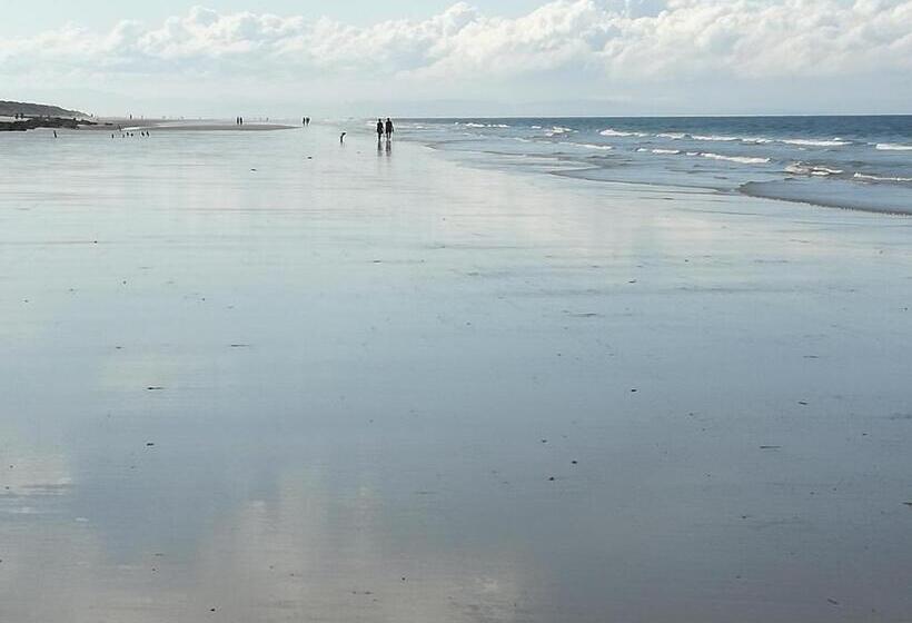 Sunflower Bed & Breakfast