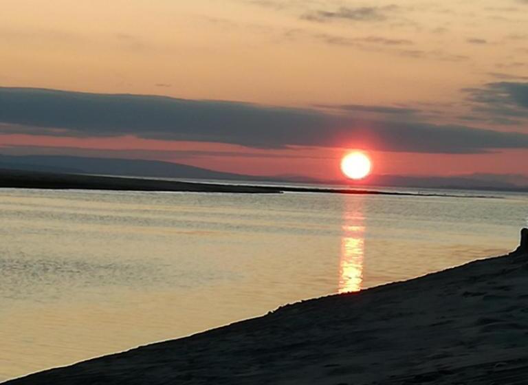 Sunflower Bed & Breakfast