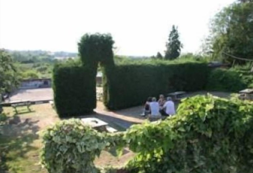 تختخواب و صبحانه The Dog Inn