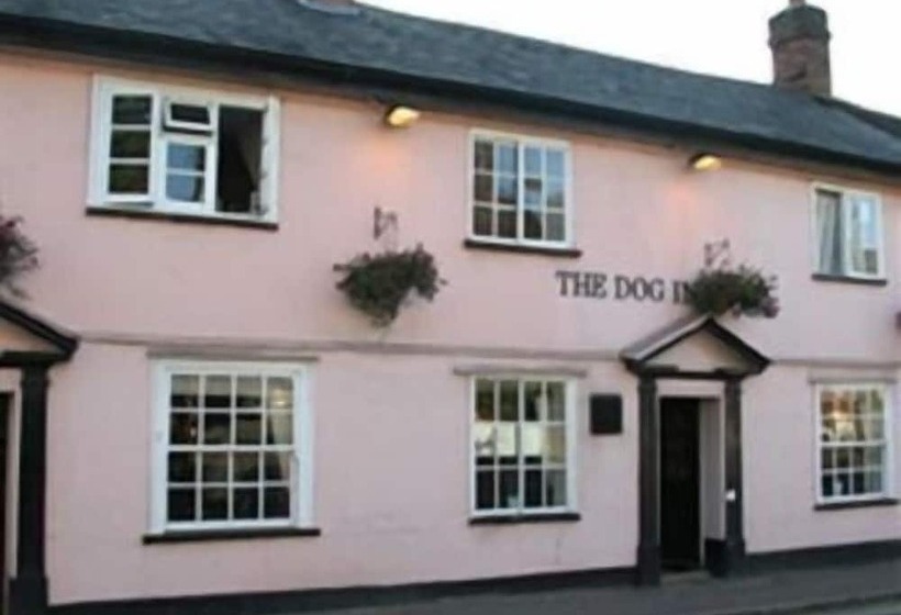 تختخواب و صبحانه The Dog Inn