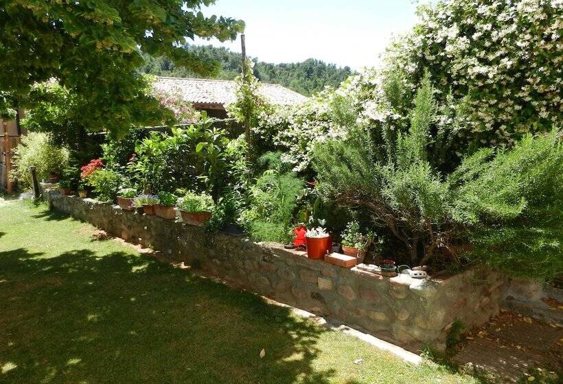 Bed & Breakfast Pegaso