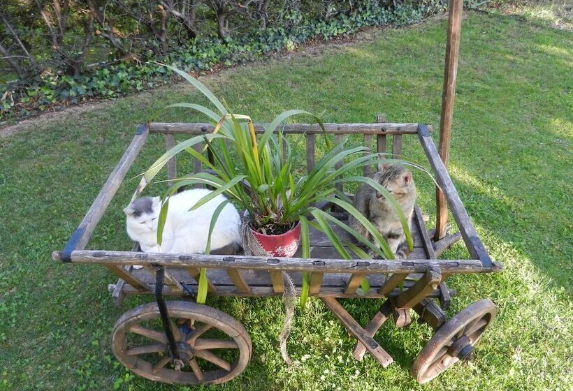 Bed & Breakfast Pegaso