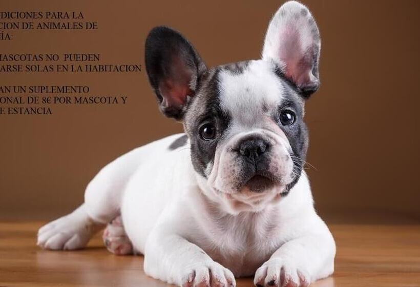 مسافرخانه Las Abadías