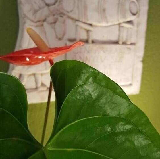 مسافرخانه Las Abadías