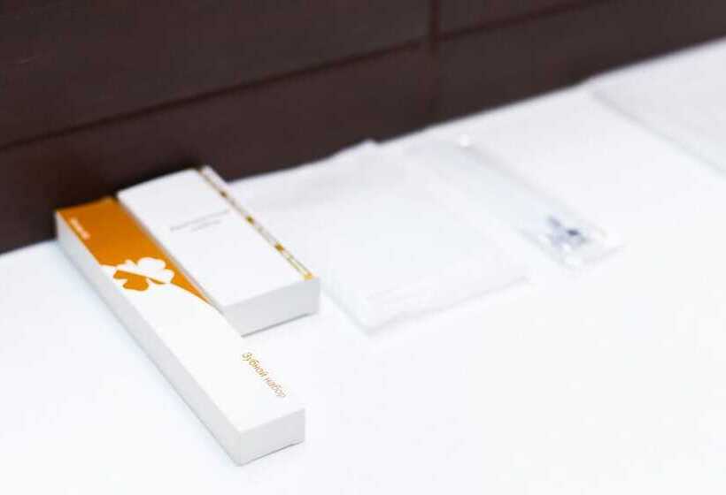 בית מלון כפרי Art