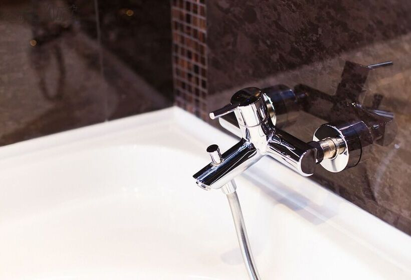 בית מלון כפרי Art