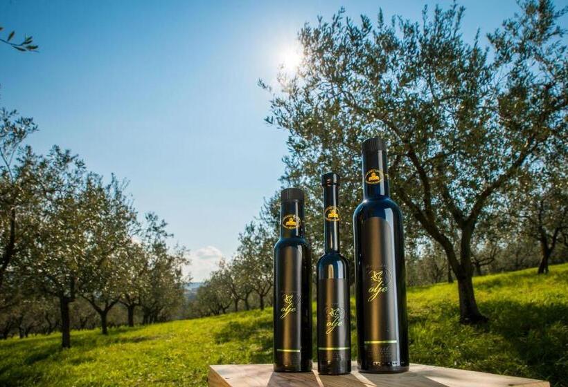 Belvedere Resort Hotels