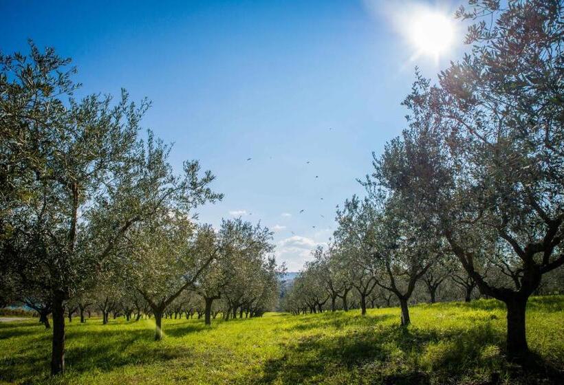 Belvedere Resort Hotels