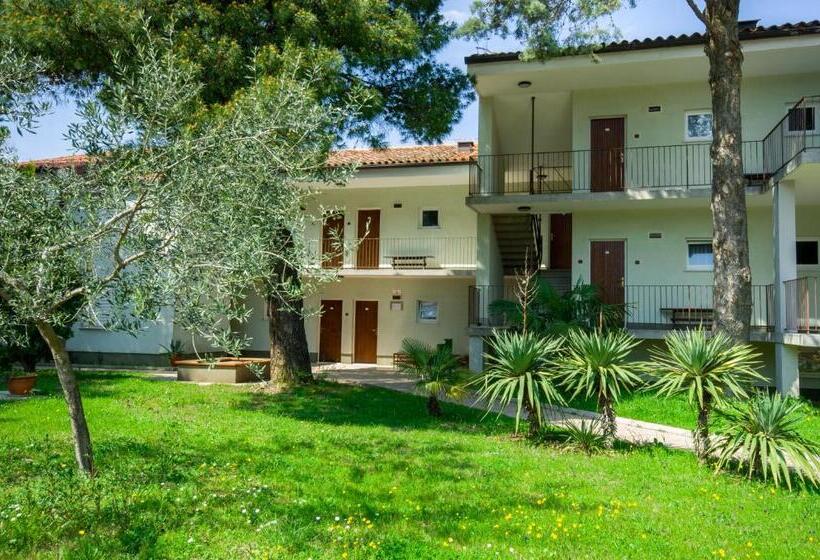 Belvedere Resort Hotels