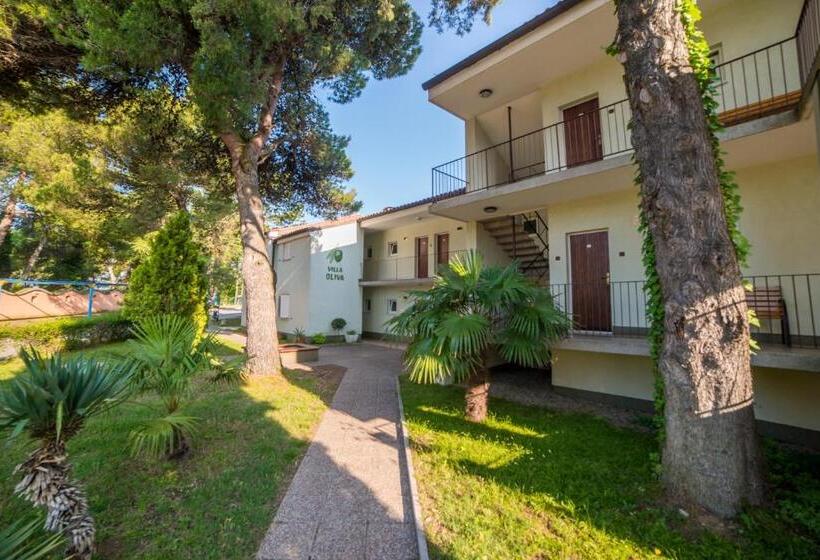 Belvedere Resort Hotels