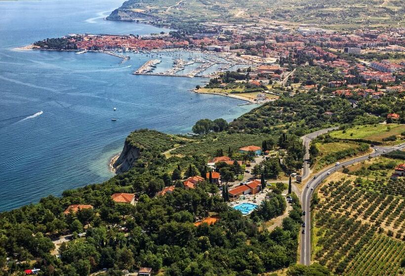 Belvedere Resort Hotels