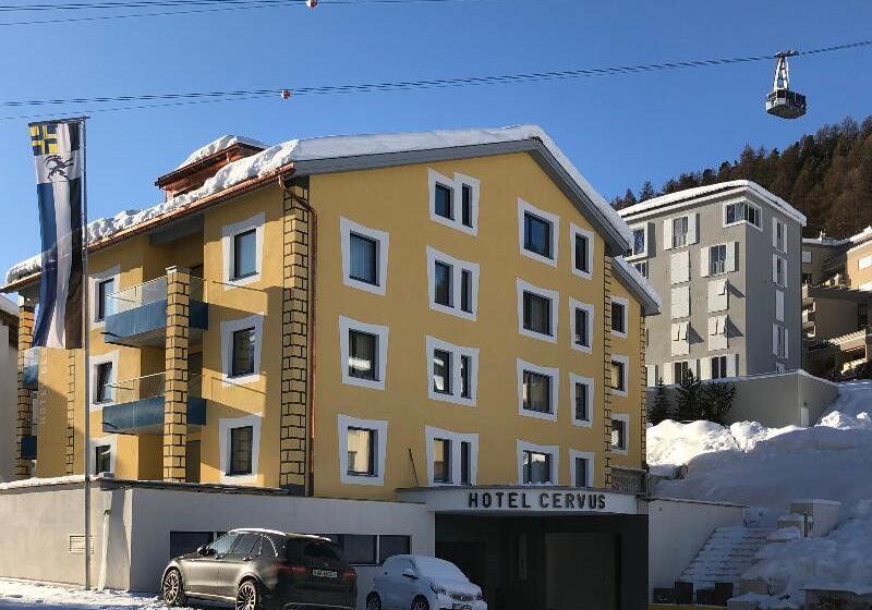 Boutique Hotel Cervus