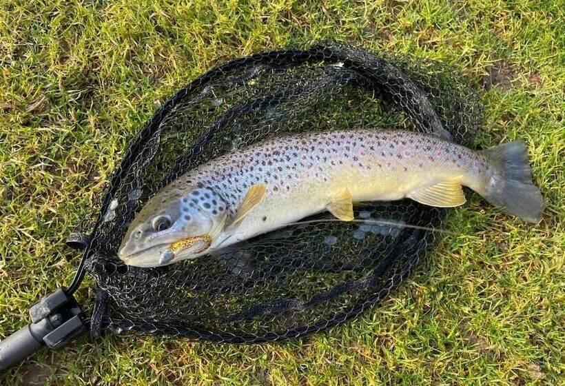 Отель Cadmore Lodge