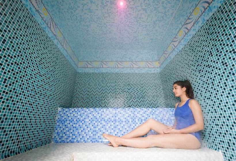 בית מלון כפרי Chateau Du Boisniard