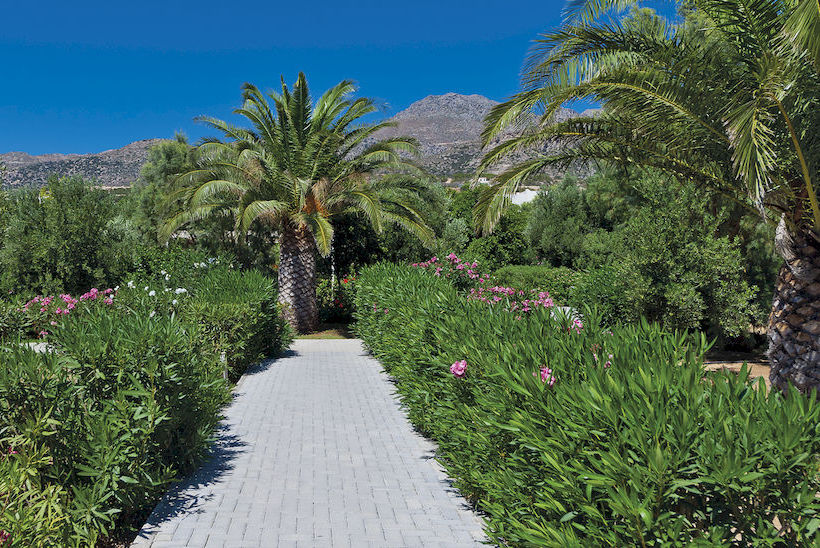 فندق Cherry Village