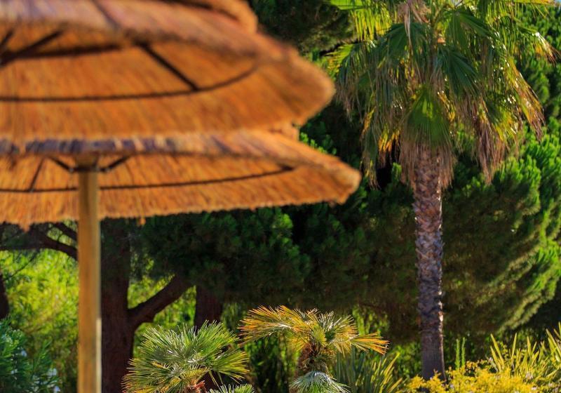 ホテル Club Le Capet