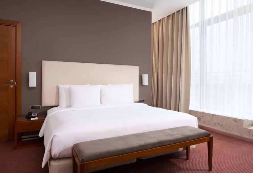 ホテル Doubletree By Hilton  Novosibirsk