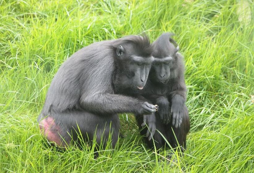 ホテル Drayton Manor