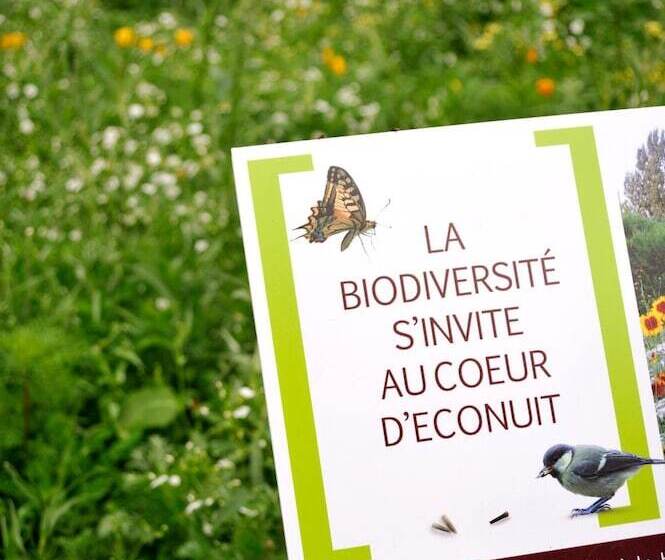 בית מלון כפרי Eco Nuit La Baule Guerande