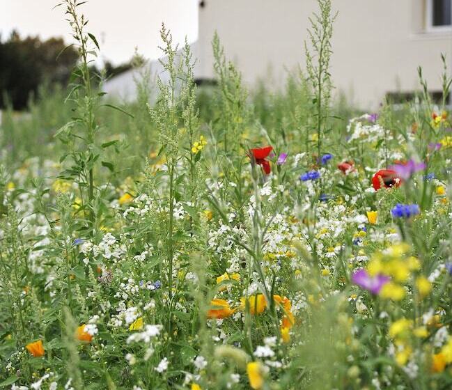 בית מלון כפרי Eco Nuit La Baule Guerande